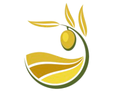 Screenshot_2024-09-26_alle_10.13.37-removebg-preview